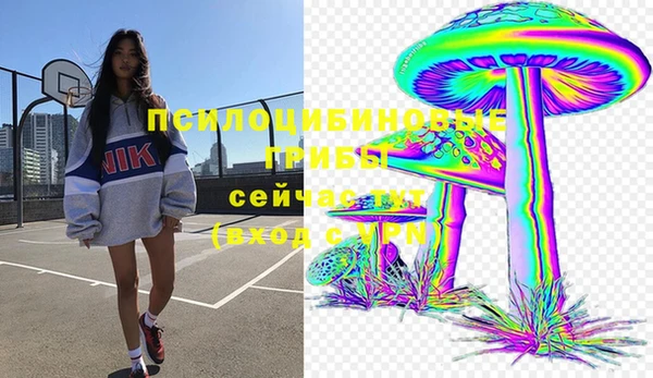 а пвп мука Арсеньев