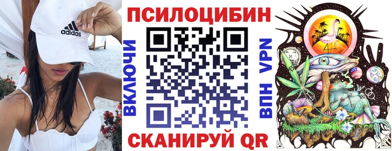 блэк спрут ССЫЛКА  Осинники  Галлюциногенные грибы MAGIC MUSHROOMS 